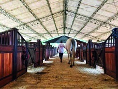 Equus — equitación y bienestar en Envigado